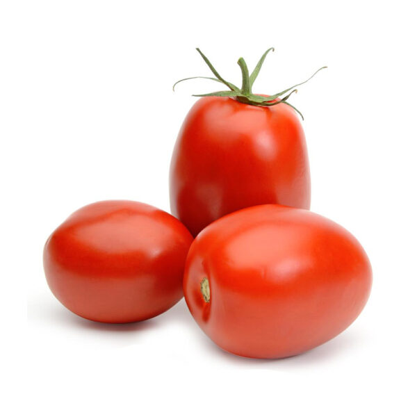 TOMATE POMAROLA