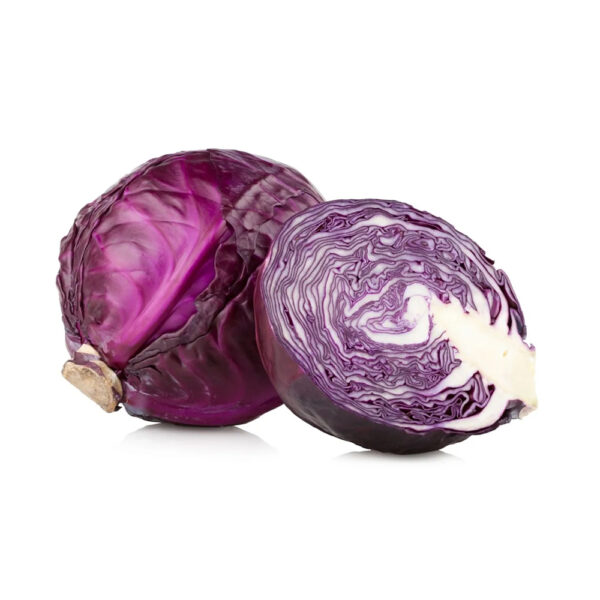 REPOLLO MORADO